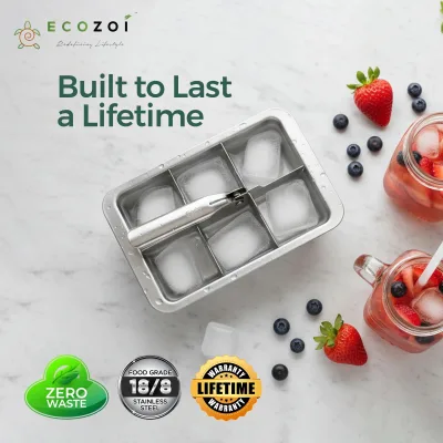 Ecozoi Stainless Steel Ice Trays for Freezer, 12 Large Cubes with Easy Release, 2 Pack
