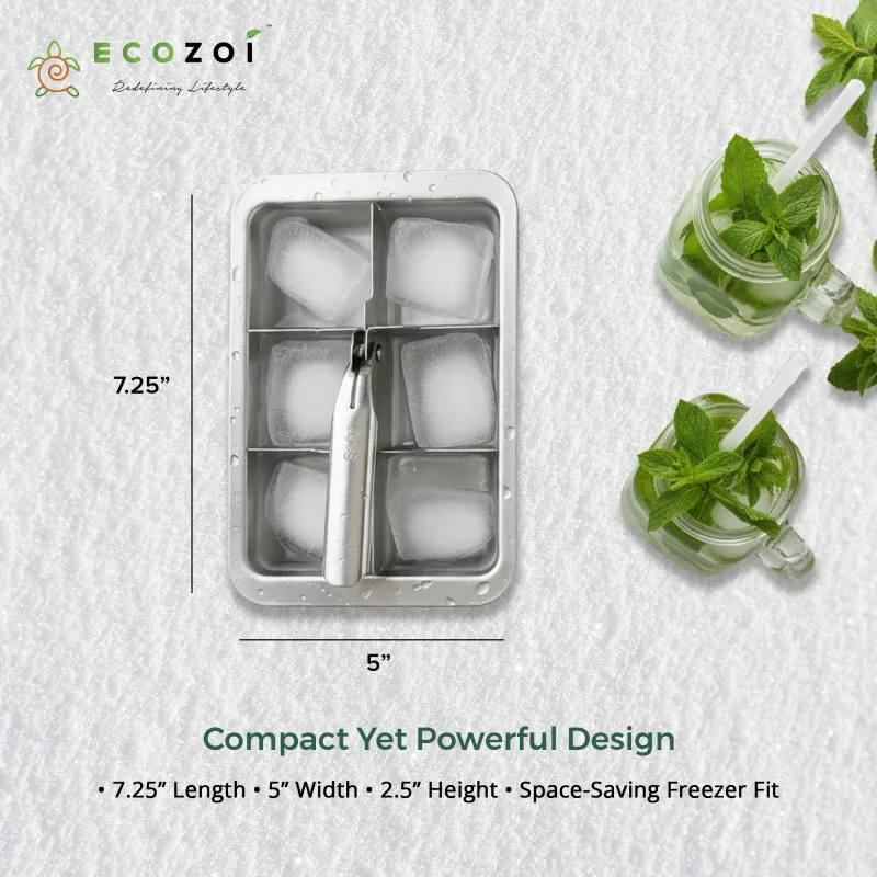 Ecozoi Stainless Steel Ice Trays for Freezer, 12 Large Cubes with Easy Release, 2 Pack