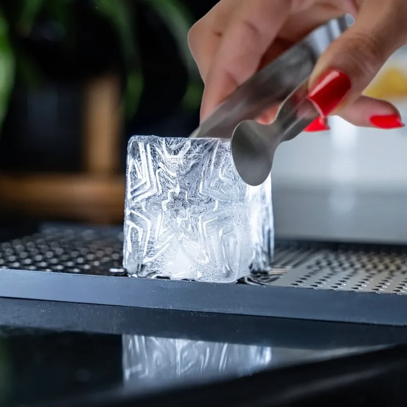 Ecozoi Nampan Stempel Es Batu Stainless Steel, dengan Cetakan Es Batu Silikon dan Penjepit