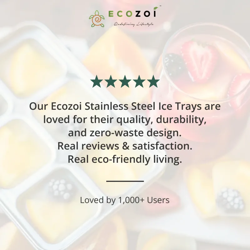 Ecozoi Stainless Steel Ice Trays for Freezer, Rectangular Shape 12 Large Cubes with Lid, 2 Pack