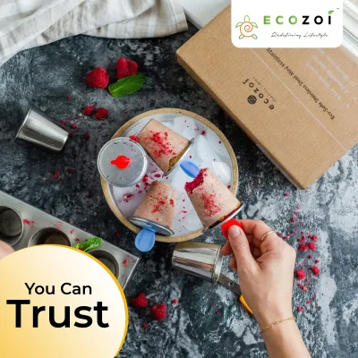 Ecozoi Stainless Steel Ice Pop Molds, 6 Mini Rounds withReusable Bamboo Sticks