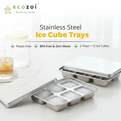 Ecozoi Stainless Steel Ice Trays for Freezer, Rectangular Shape 12 Large Cubes with Lid, 2 Pack